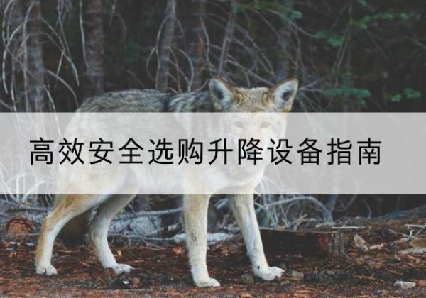 六枝特升降货梯厂家推荐-*安全选购升降设备指南