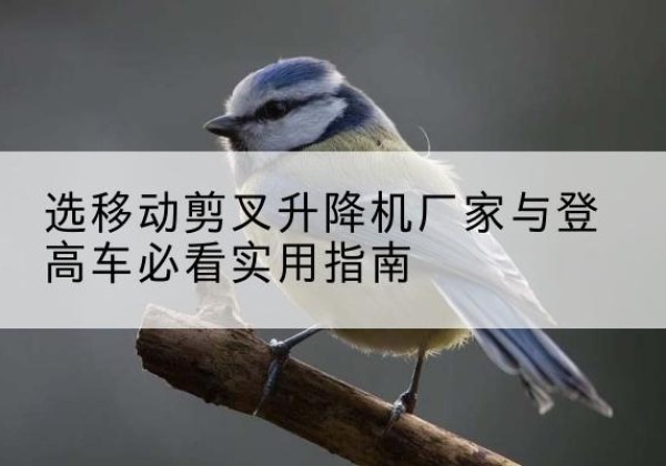 六枝特电动升降机厂家-选移动剪叉升降机厂家与登高车必看实用指南